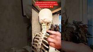 Обучение мануальной терапии  у Олега Гудвина продолжается. Кто с нами? Записывайтесь! 😁👌 #массаж
