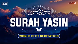Surah Yasin (Yaseen) سورة يس | Heart Soothing & Most Beautiful Recitation | JazakAllah TV