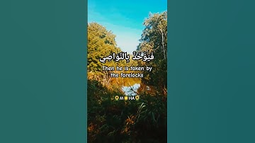 (يُعْرَفُ الْمُجْرِمُونَ بِسِيمَاهُمْ) سورة الرحمن للشيخ عبدالباسط عبدالصمد رحمه الله
