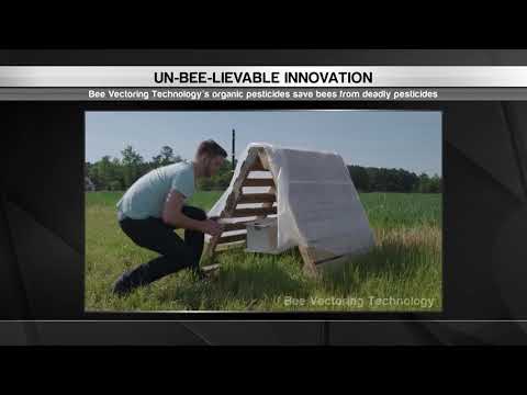 How To Save The Bees Innovation