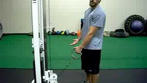 Arm Abducted Low Pulley External Rotation (www.trainatp.com)