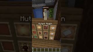 Minecraft Mob Arena With @xWonton !