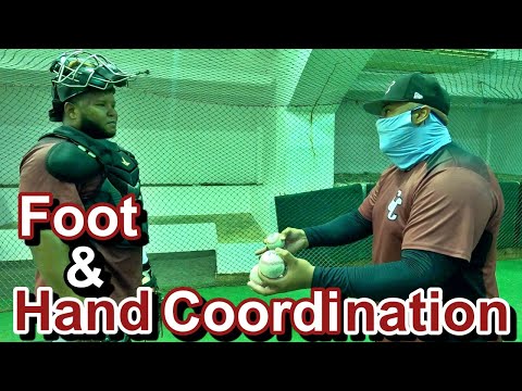 6to Juego Vs Tigres Del Licey 第６戦 Vs ティグレス デル リセイ ドミニカ ウィンターリーグ Youtube