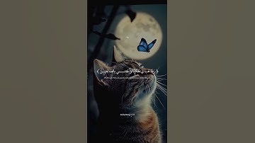 احترم القران الكريم من فضلك ♥️