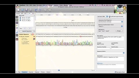 Class10: Aligning to a Reference DNA Sequence || SnapGene