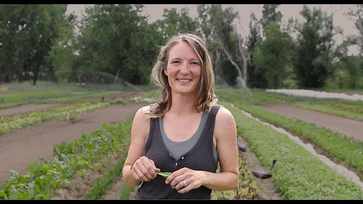 Catherine Blackwell Hess Story - ION* Customer Tes...