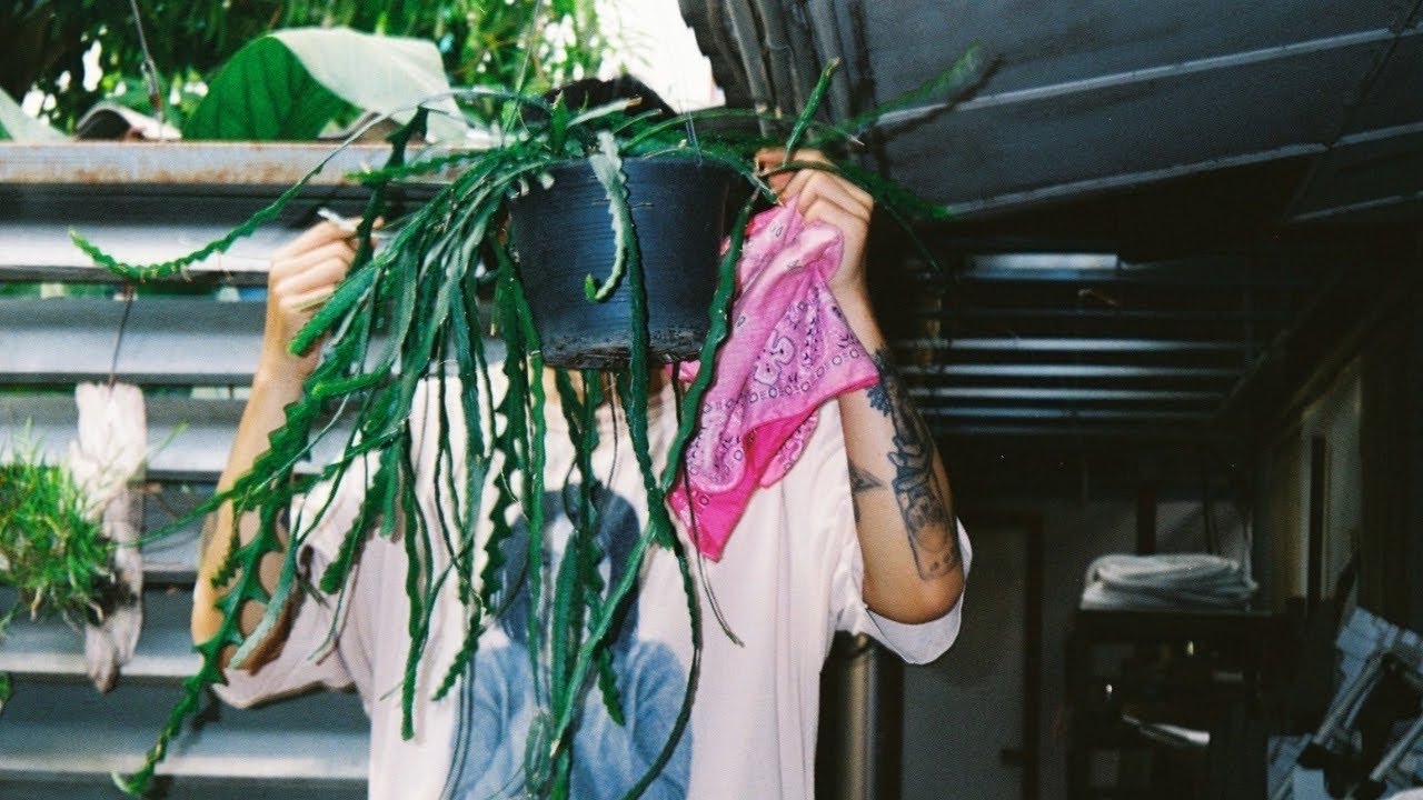 flowers for daryl - landscapes in blue (official video)