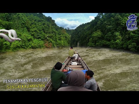 Video: Cara Menghabiskan Masa Di Alam Semula Jadi