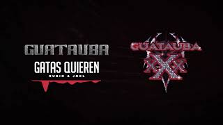 Rubio & Joel - Gatas Quieren | Guatauba xXx