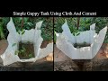 Simple Guppy Tank Using Cement And Cloth | Guppy Tank Setup Ideas | Guppies | Guppy | Tank Setup