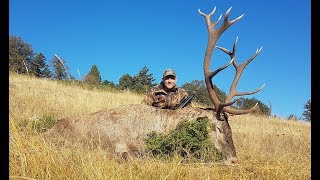 ANATOLIAN RED STAG HUNTING JENS KJAER KNUDSEN &amp; RECEP ECER