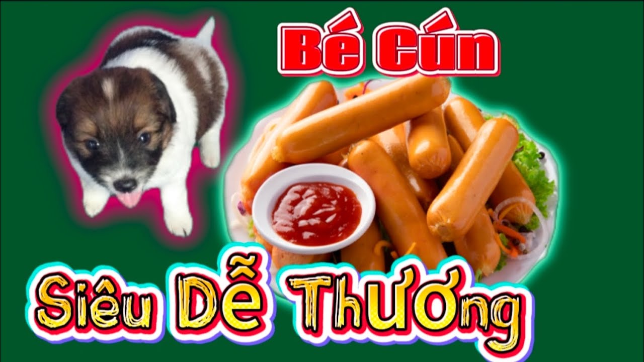 Bé Cún Cực Dễ Thương về Công Ty Được 2 ngày.