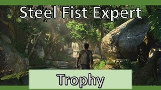 Steel Fist Expert | Uncharted Drake's Fortune Remastered Trophy