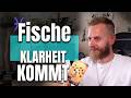 Fische: Das Grübeln verliert seine Macht