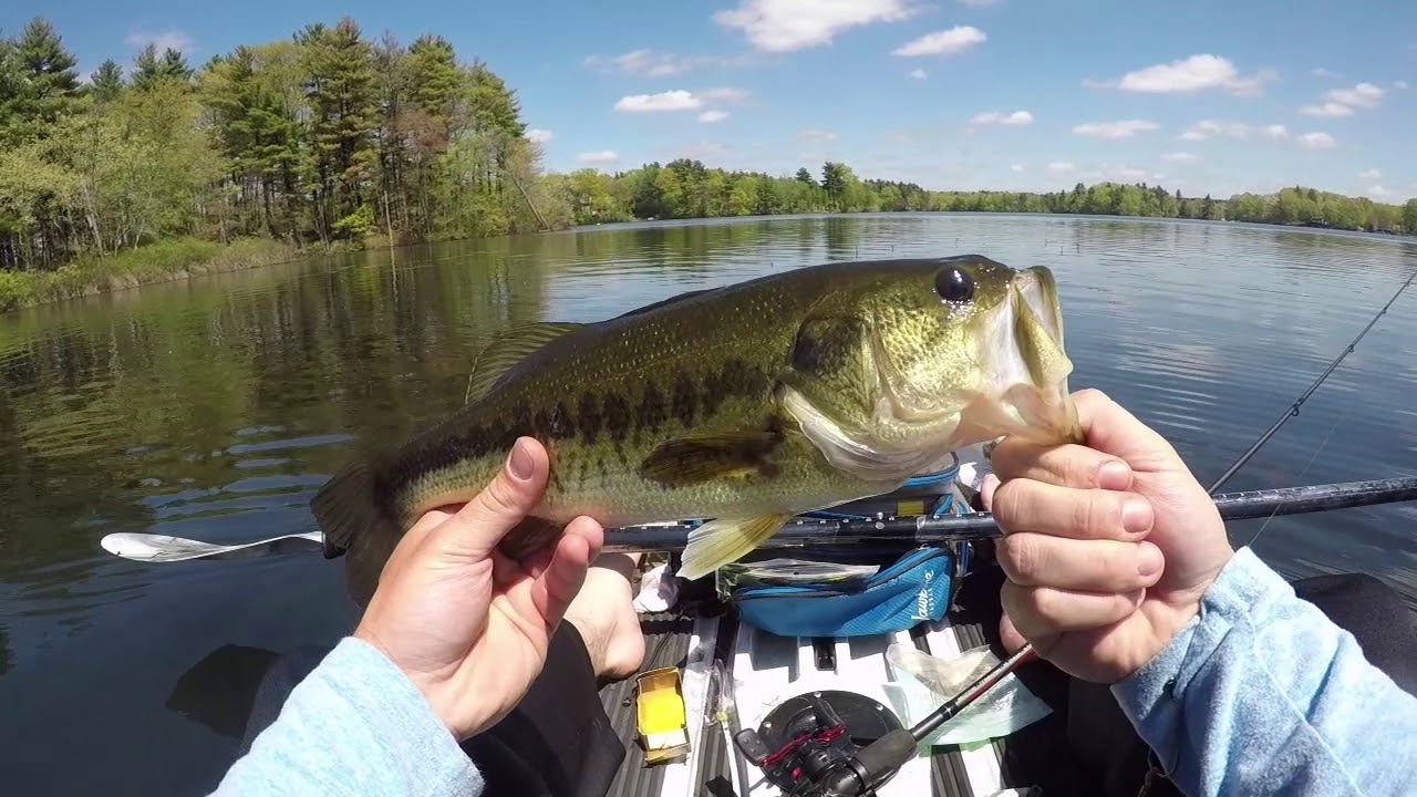 Neponset Reservoir Depth Chart