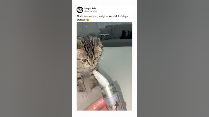 Sim kutusunu kırıp kediyi ve kendisini süsleyen prenses 😄