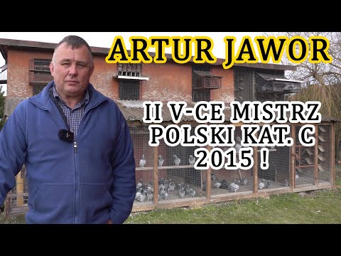 Artur Jawor - 0404 Skała | Mistrzowska hodowla! / II v-ce Mistrz Polski kat. C 2015r!