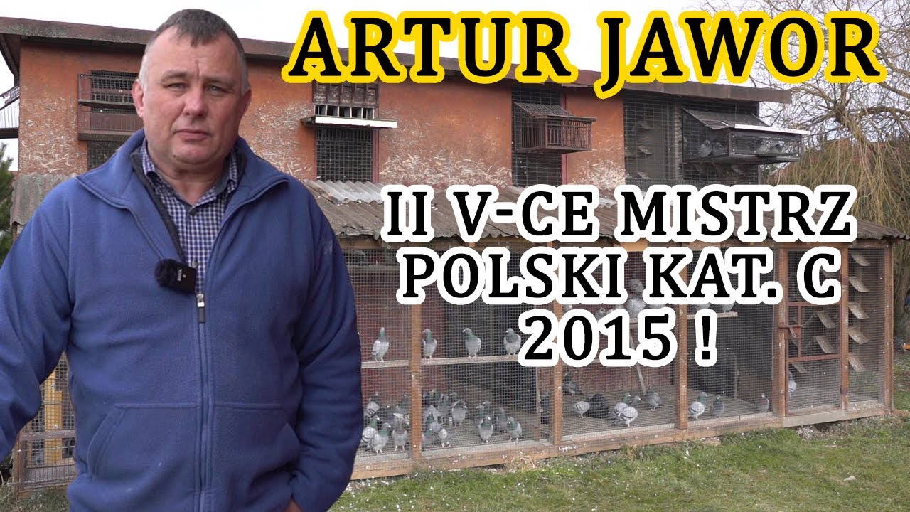 Artur Jawor - 0404 Skała | Mistrzowska hodowla! / II v-ce Mistrz Polski kat. C 2015r!