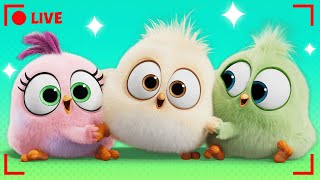 🔴 LIVE Angry Birds Mega Mix 🌴