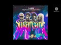Camidoh - Sugarcane remix (Audio Slide) ft. King Promise, Mayorkun, Darkoo