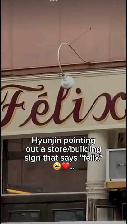 The hyunlix  Stans are screaming 😼 #hyunlix #hyunjin #felix #yongbok #hwanghyunjin #straykids 