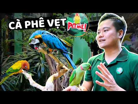Khám Phá Cà Phê Vẹt Ở Sài Gòn | Pet Me Có Thêm Thú Cưng Mới Cực Lạ
