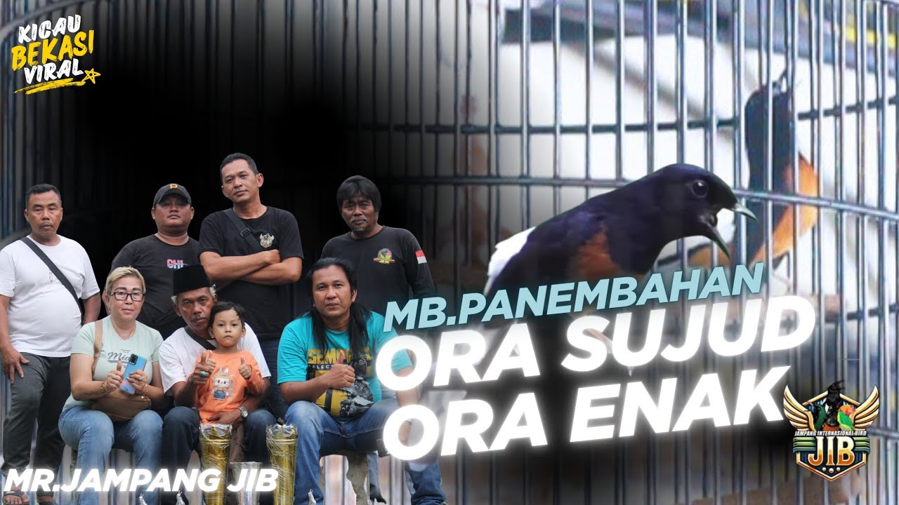 Muray Batu Panembahan Mr.Jampang Bikin Full Senyum Koncer Mutlak🚩🚩🚩kalahkan Jawara 