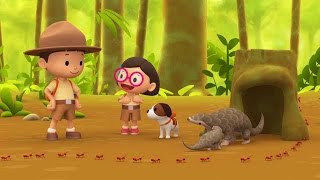 Malayan Pangolin - Leo The Wildlife Ranger Minisode #104
