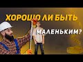 Хорошо ли быть МАЛЕНЬКИМ? Секреты насекомых | муравьи | комары