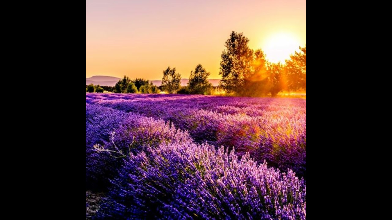 Provence évasion 1