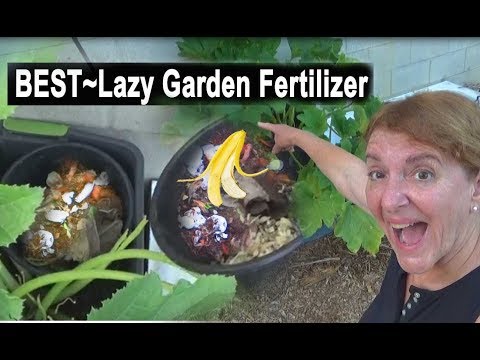 grow-compost-&-fertilize-in-the-vegetable-garden-composting-in-place