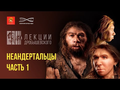 Видео: О неандертальцах, их жизни и смерти. Лекция Станислава Дробышевского