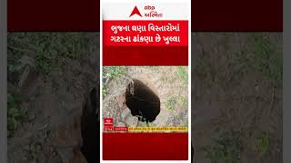 Bhuj news | ભુજ શહેરમાં ઠેર ઠેર ગટરના ઢાંકણા ખુલા હોતા લોકોના જીવનો જોખમ વધ્યું