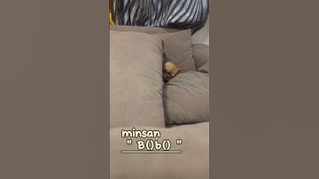 I have a Question ... Bugtong Bugtong #bugtongbugtong