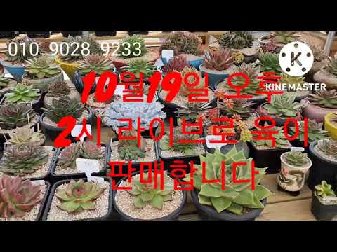 ผลสลากกินแบ่งรัฐบาล วันที่ 1 พย. 2567 ผลสลากกินแบ่งรัฐบาล วันที่ 1 พย. 2567