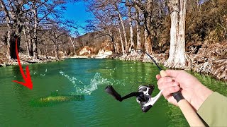 There's A GIANT Living In This Pool!!! | Rainbow Trout Fishing