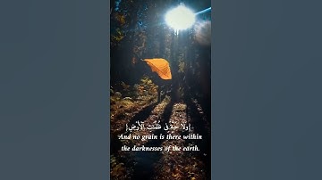 وعنده مفاتح الغيب لا يعلمها إلا هو || القارئ ياسر الدوسري سورة الأنعام