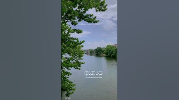 سورة الحجر الآيه {٩٥ : ٩٩} ☘️القارئ اسلام صبحى ☘️
