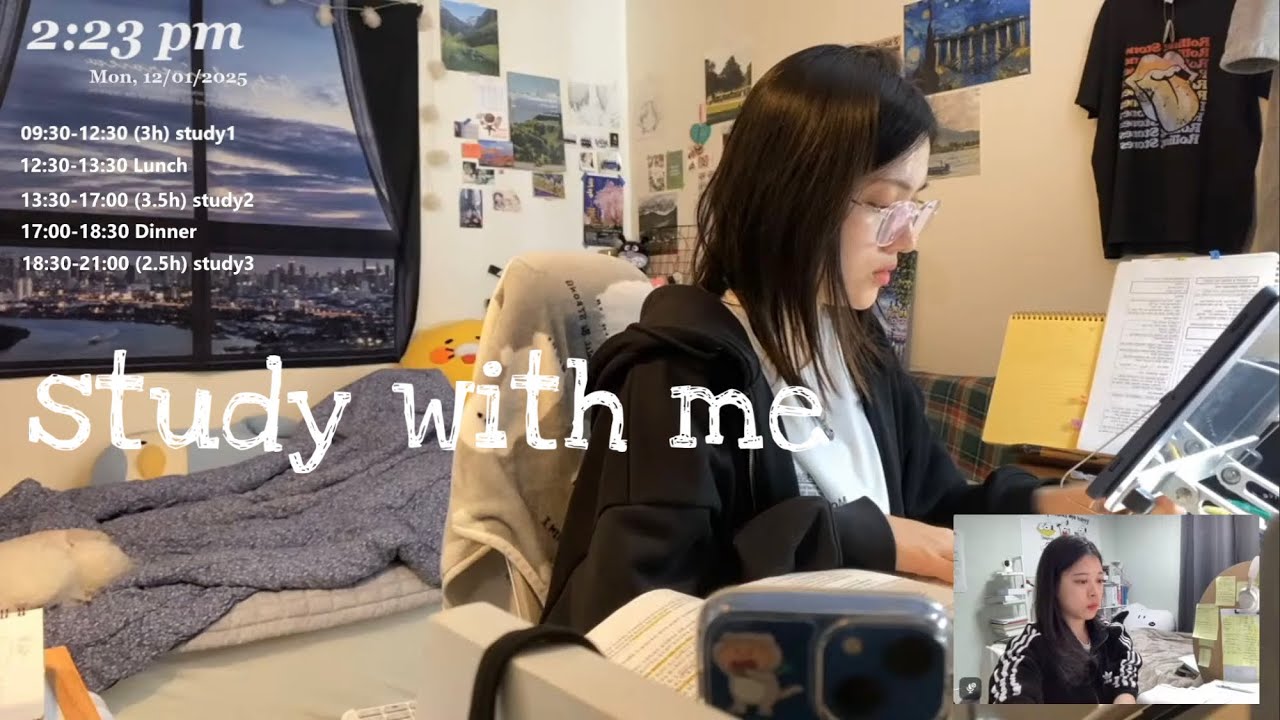 LIVE study with me/ 스터디윗미📚/ 천둥 빗소리, 장작asmr