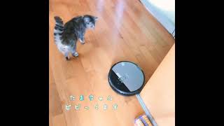 おそーじロボットが来た！