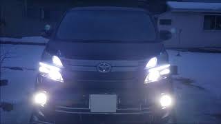 VELLFIRE 20 SUPAREE &  Queenストロボ 3色切り替え フォグ ハイビーム