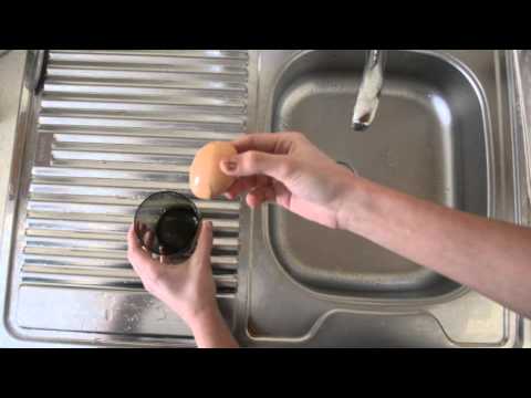 Eksperiments #1: Kā ātrāk nolobīt čaumalu no vārītas olas?