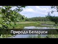 Рыбалка в Беларуси. Сказочное лесное озеро.