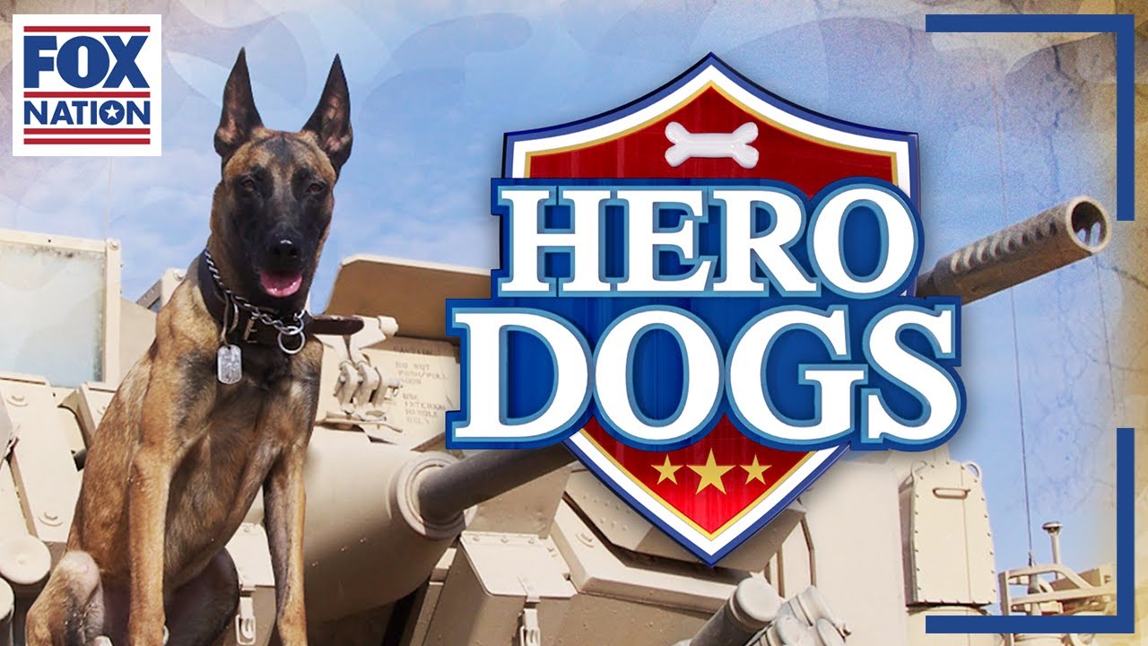 Hero Dogs • Now Available on Fox Nation
