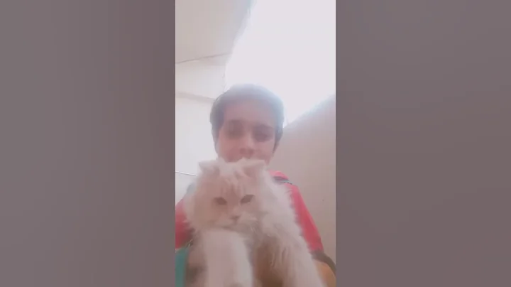 Mujtaba yahya tiktok 10