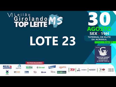 LOTE 23 - FICHA BRADNICK FIV DA EMBRIZA