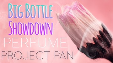 Big Bottle Showdown Perfume Project Pan Collab | Update #1 | Hanging Out With Lori