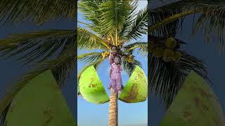 Buah kelapa jatuh keluar anak lucu 😍 #shorts #lucu #kelapa