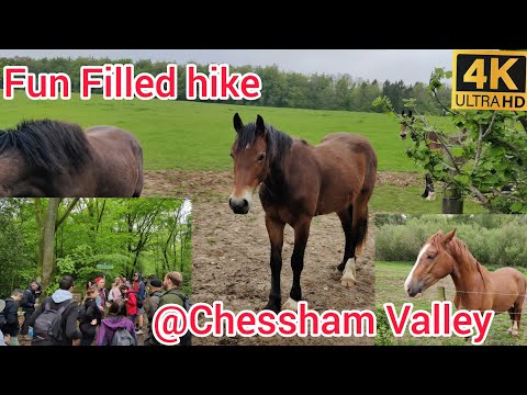 [GB] 🇬🇧 Hiking 🥾 Day - Chess Valley Hike Part 2 - Fun Filled hike.