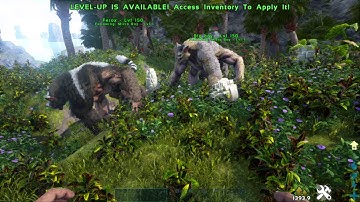 ARK how to spawn small and large Ferox